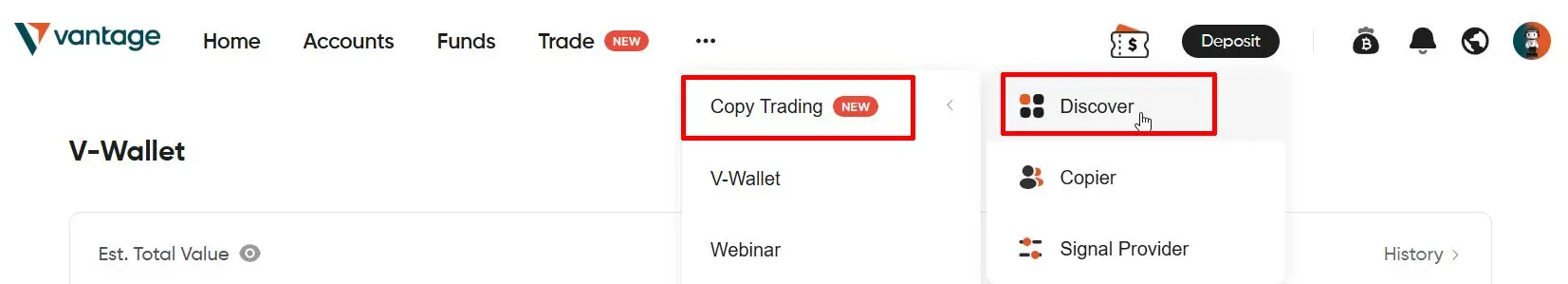 Vantage Markets Copytrading setup - Step 2 Access Module